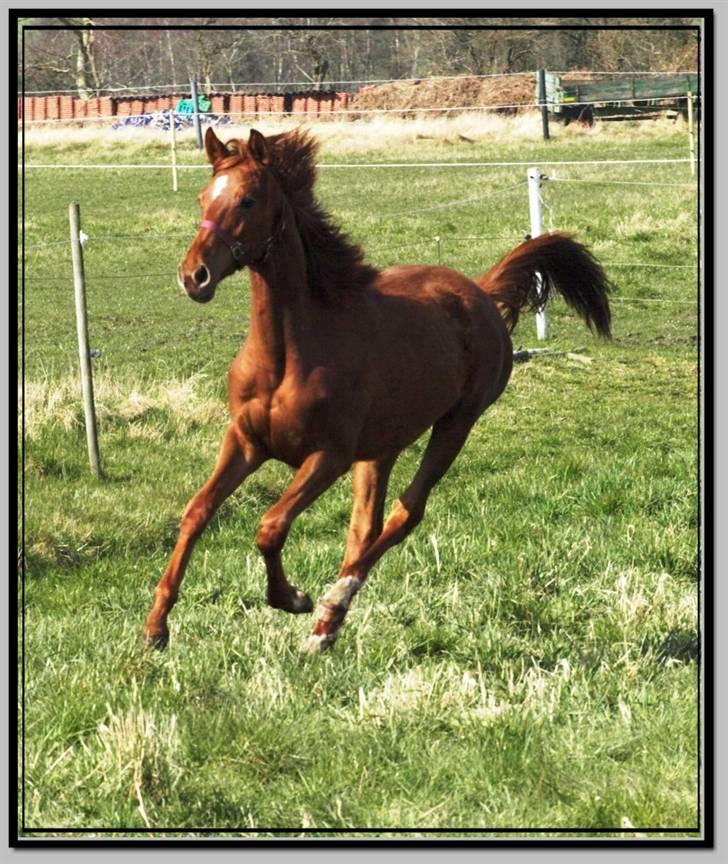 Her er lige et par billeder fra en dejlig forårsdag billede 14