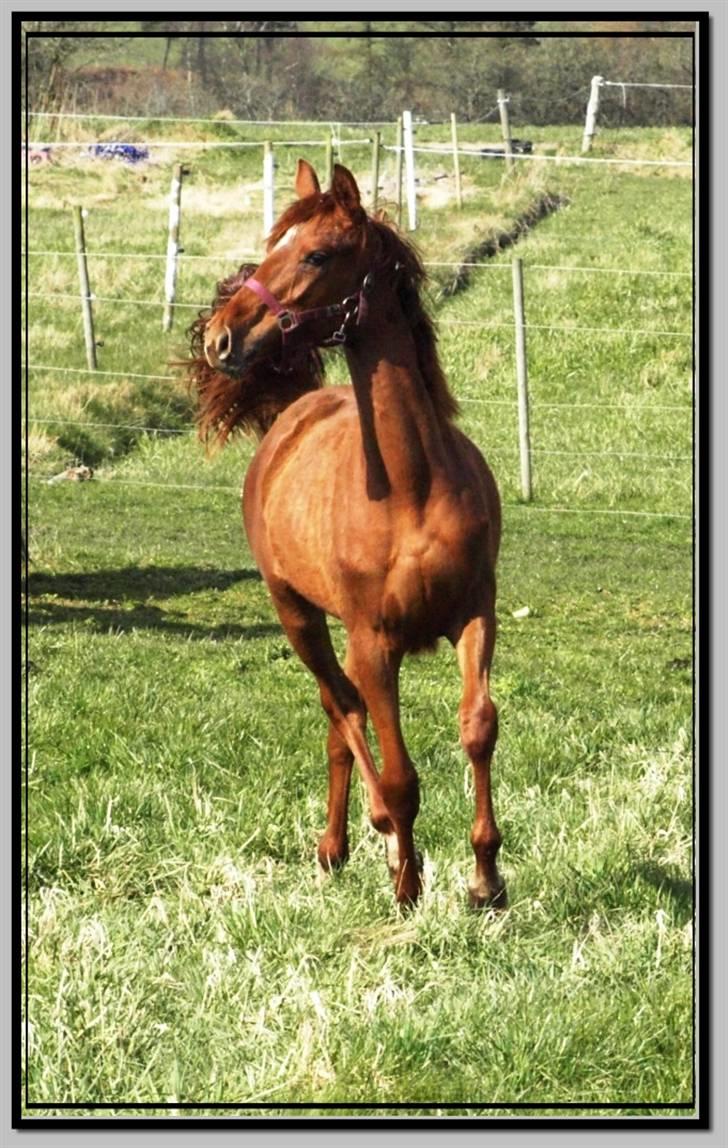 Her er lige et par billeder fra en dejlig forårsdag billede 15