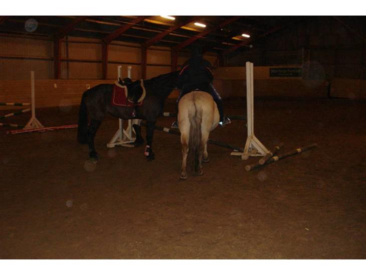 {{currentPhoto.altText}} billede {{currentPhoto.number}}