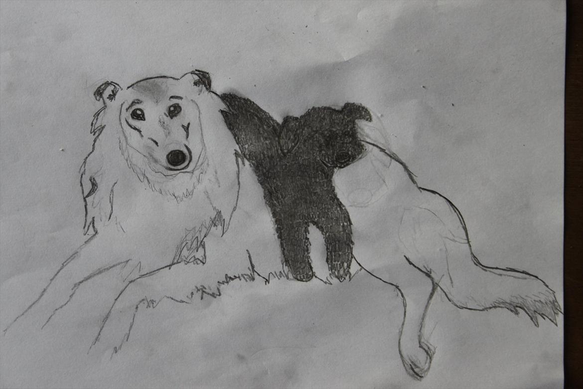 Billeder, tegninger osv. billede 5