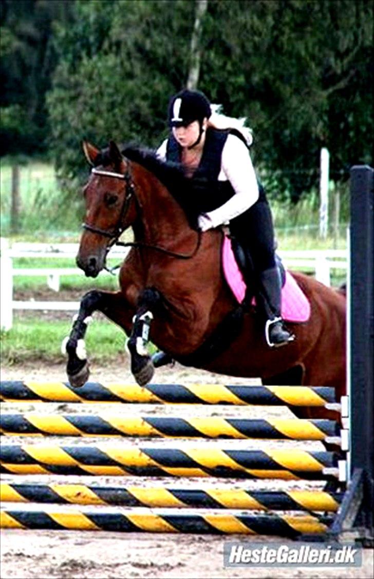 Billeder, tegninger osv. billede 36