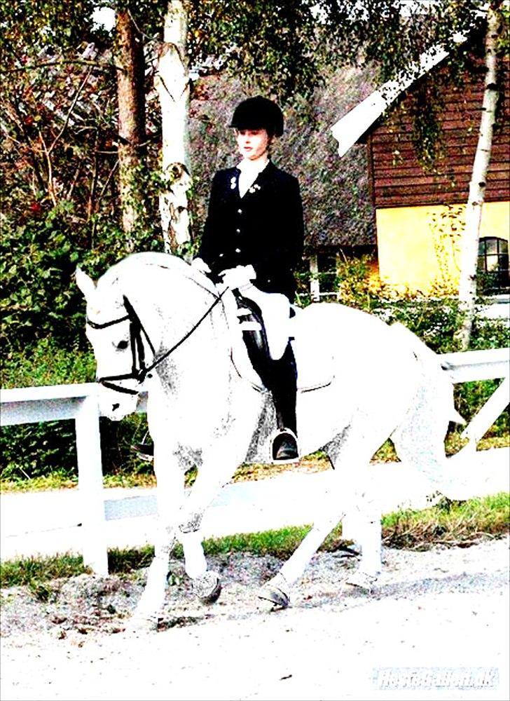 Billeder, tegninger osv. billede 39