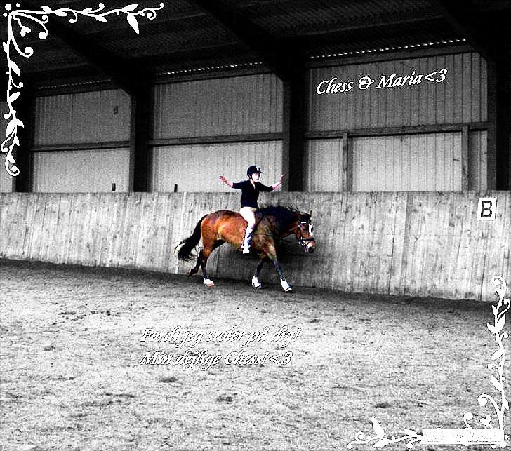 Billeder, tegninger osv. billede 40