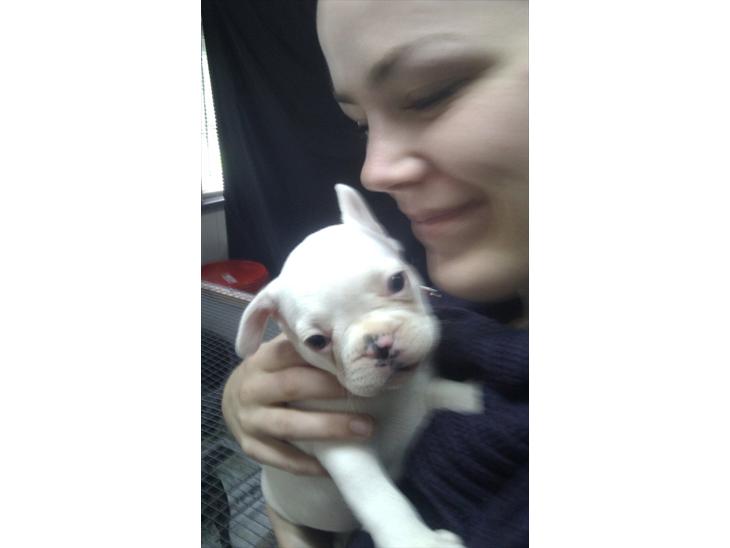 {{currentPhoto.altText}} billede {{currentPhoto.number}}