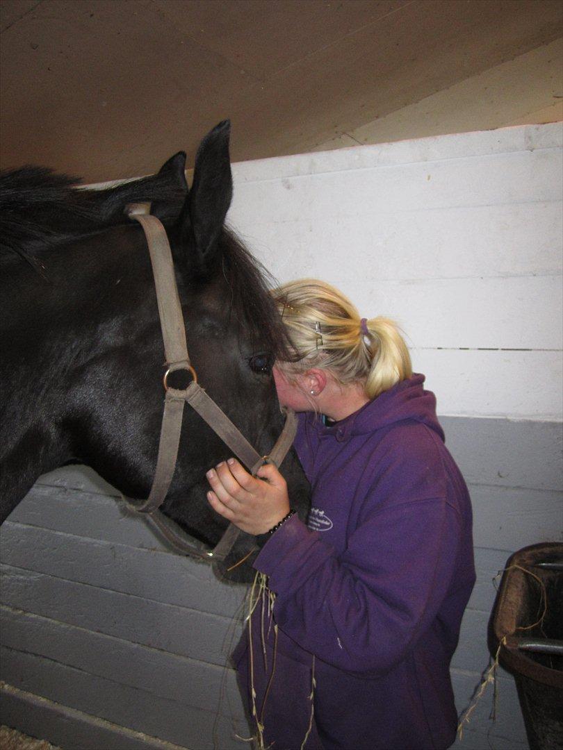 Alt muligt billede 36