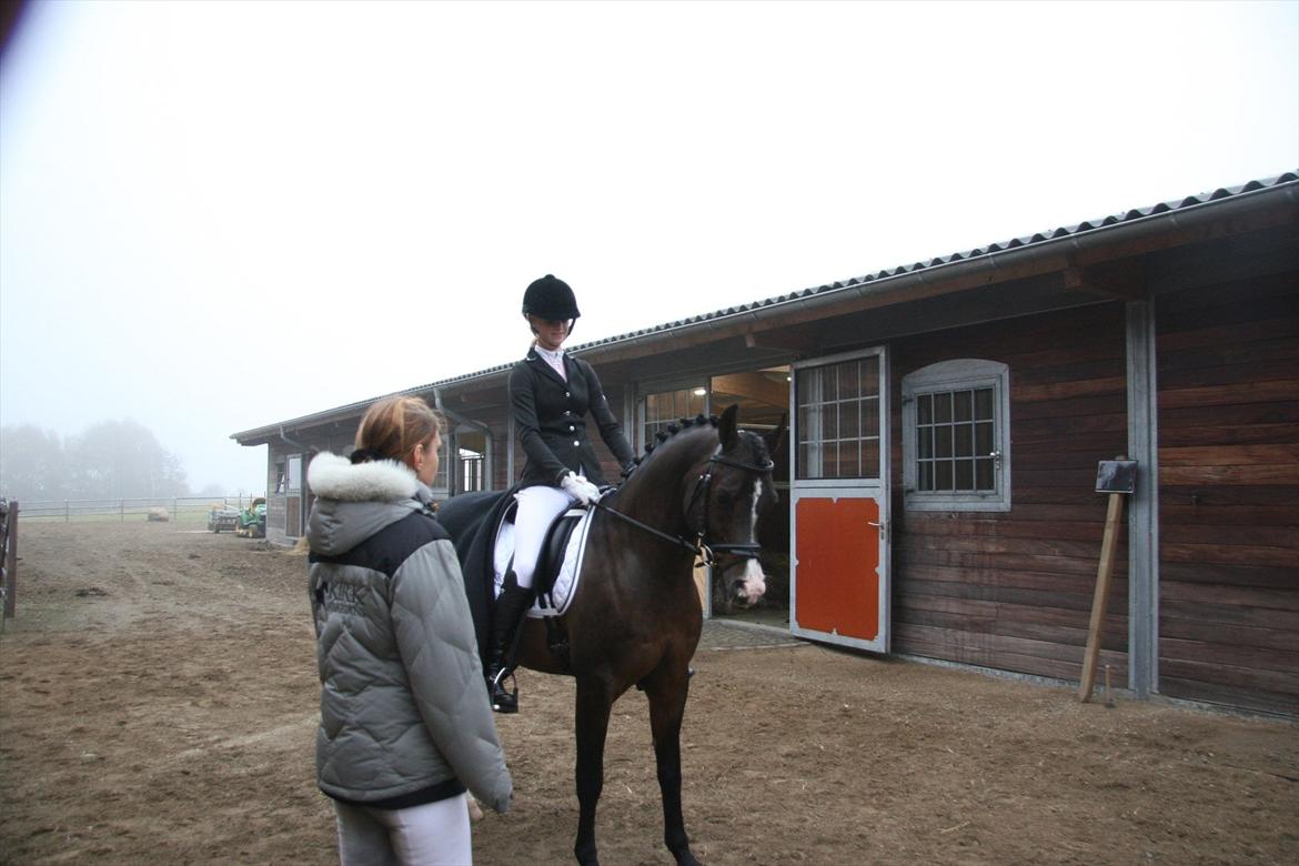 Stævne på Kirk Arabians med Demir - Inden jeg skulle ind og ride, skulle der jo lige et par småting på plads <3 billede 1
