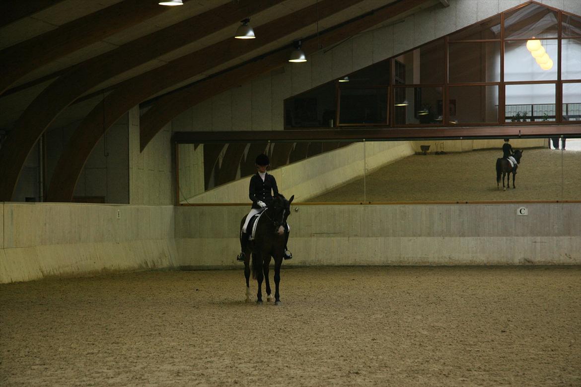 Stævne på Kirk Arabians med Demir - Så skal der varmes op <3 billede 2