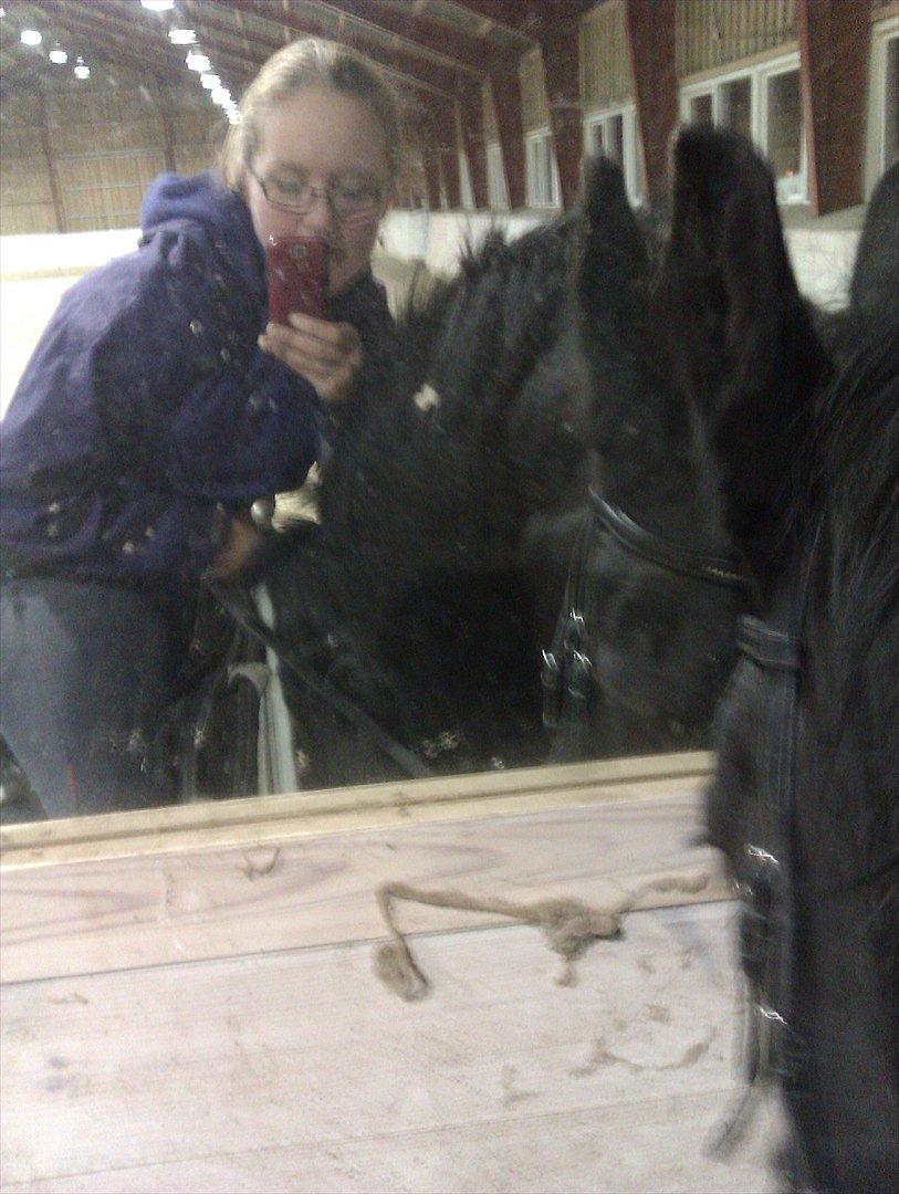 Freiser drengen i ridehus.  billede 3