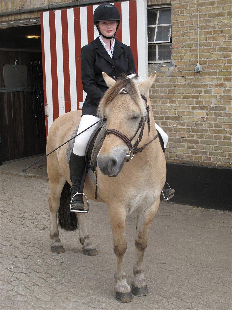 Mattssons heste - Aadalens Klaus mig og ham til stævne :) Foto : Mor billede 8