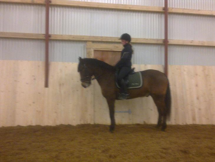 {{currentPhoto.altText}} billede {{currentPhoto.number}}