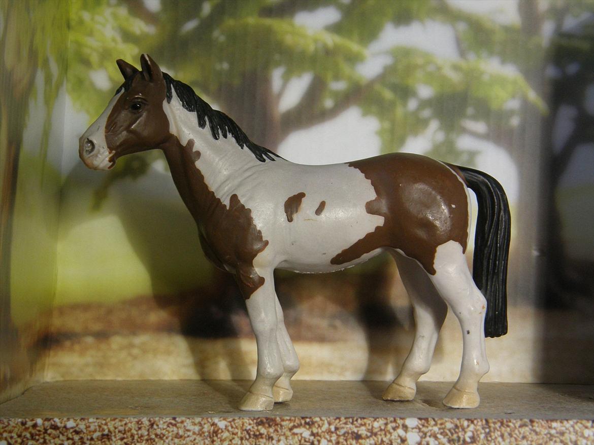 Mine Schleich Dyr - Navn: Caris Race: Amrikansk Hest Køn: Hoppe Alder: 7 år billede 133