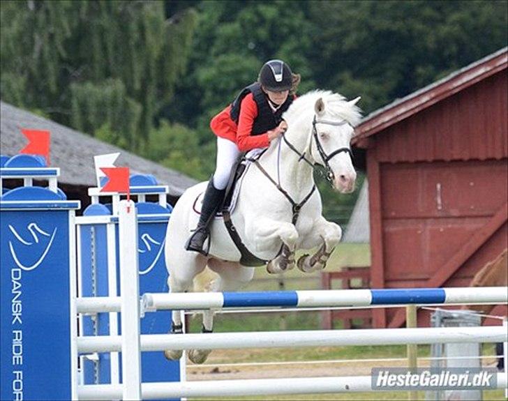 50 dage på hestegalleri :) - Dag 16: Et billede af en rytter du ser op til - Har overvejet hvem jeg skulle vælge, og det blev Clara Bergman Smit. Jeg syntes hun er en dygtig rytter, og hun rider rigtig pænt. Hun har inspireret mig meget i springningen :) billede 16