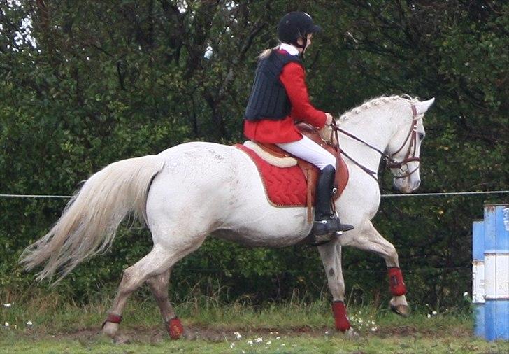 50 dage på hestegalleri :) - Dag 17: Et billede af dit stævneudstyr - Mit røde sæt :) Rød klær' Vicky bedst <3 billede 17