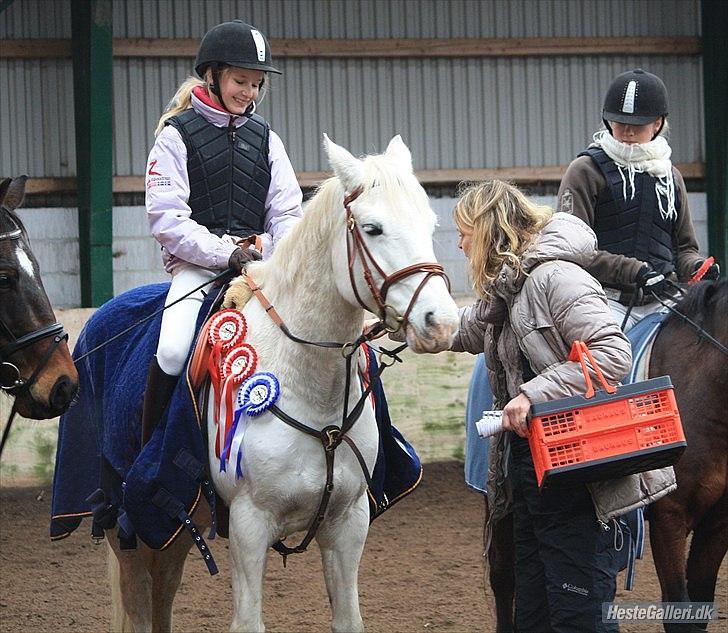 50 dage på hestegalleri :) - Dag 18: Et billede af noget du vil opnå med din part/hest  - jeg vil gerne blive B-rytter på Vicky inden mine ponyår er slut :-D billede 18
