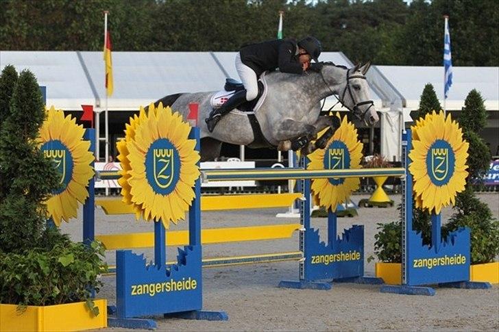 50 dage på hestegalleri :) - Dag 21: Et billede af det flotteste spring du har set - dette er da ret sejt! ville have haft Nvr's regnbue spring, men kunne ikke finde et billede af det .. :( billede 21