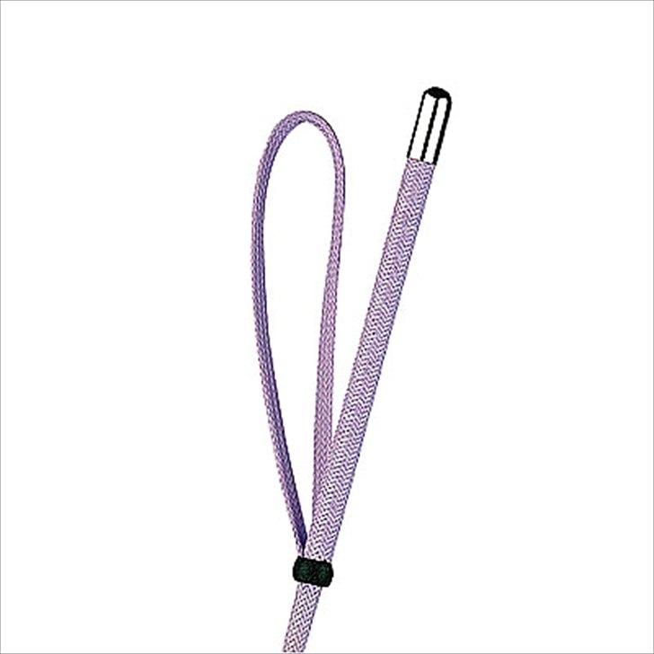 50 dage på hestegalleri :) - Dag 24: Et billede af det grimmeste udstyr du ejer - denne pisk bare i en klam grøn. Vandt den vist engang..  billede 24