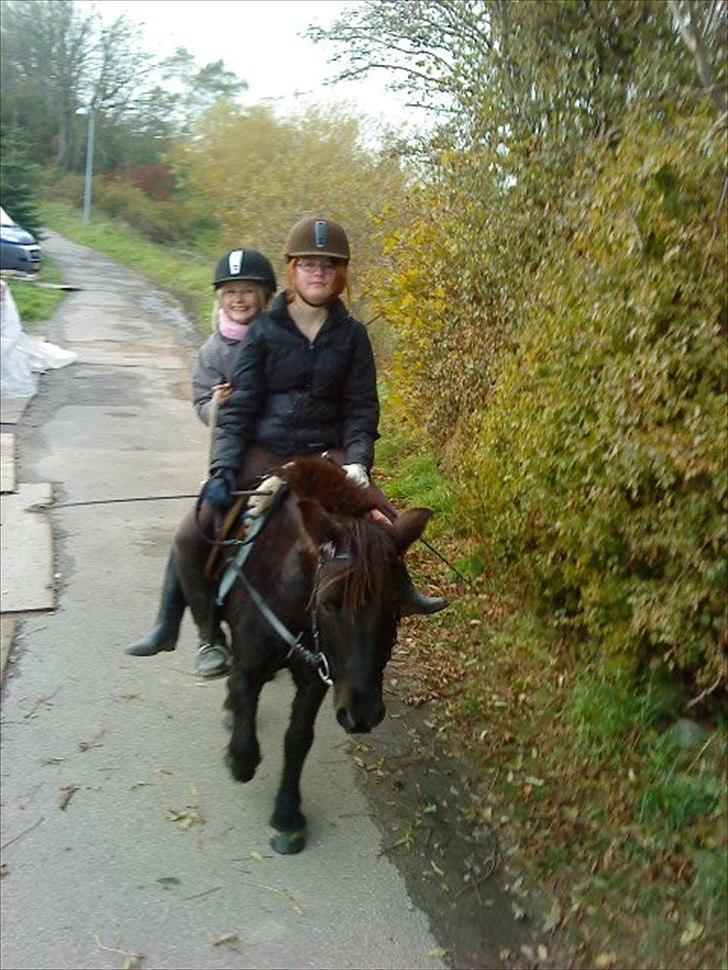 50 dage på hestegalleri :) - Dag 25: Et billede af dig og din veninde på den samme hest  - Bolette og jeg på Bonus .. Hahah, hvor er vi kønne :-P<3 billede 25