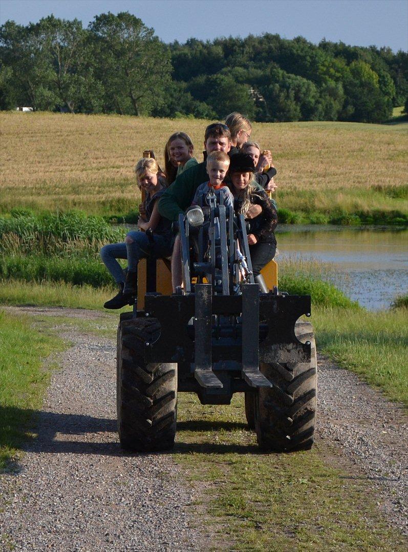 50 dage på hestegalleri :) - Dag 27: Et billede fra den bedste ridelejr du var på - jeg har været på rimlig mange ridelejre. Katrinebjergs ridelejre har jeg været på 3 år i træk, det var rigtig hyggeligt. Jeg har været på Mønstergårdens ridelejr 1 gang, det var rigtig sjovt. Jeg har været på ridelejr hos min veninde Simone, det var super hyggeligt, og så har jeg været på ridelejr i Hjembæk, som det også ses på billedet, hvor jeg var en slags hjælper :) billede 27