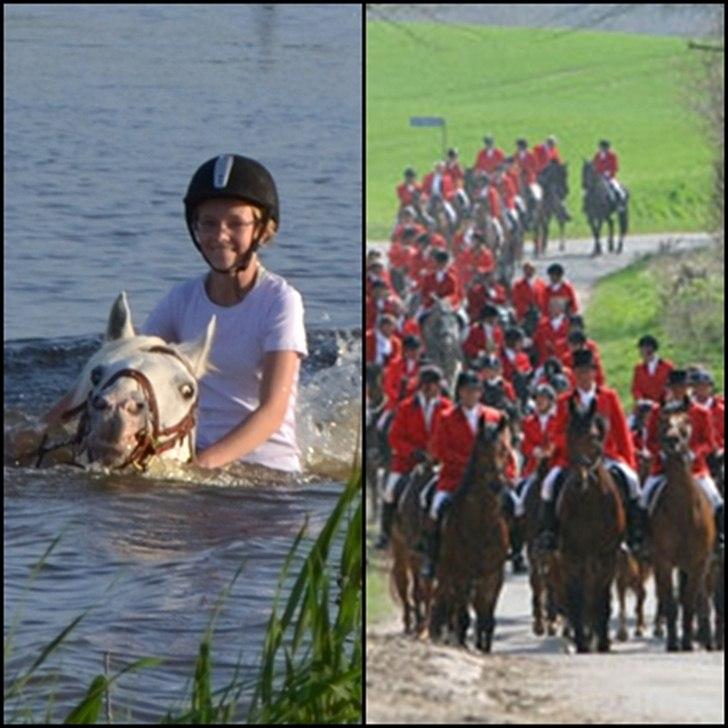 50 dage på hestegalleri :) - Dag 28: Et billede af det sjoveste du har prøvet til hest - det er nok at svømme med hesten eller ride jagt. Begge ting er super sjove! :-D billede 28