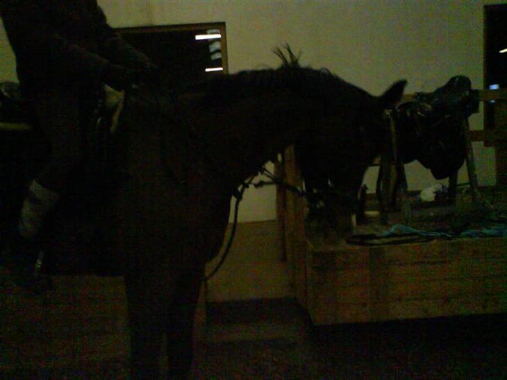 {{currentPhoto.altText}} billede {{currentPhoto.number}}