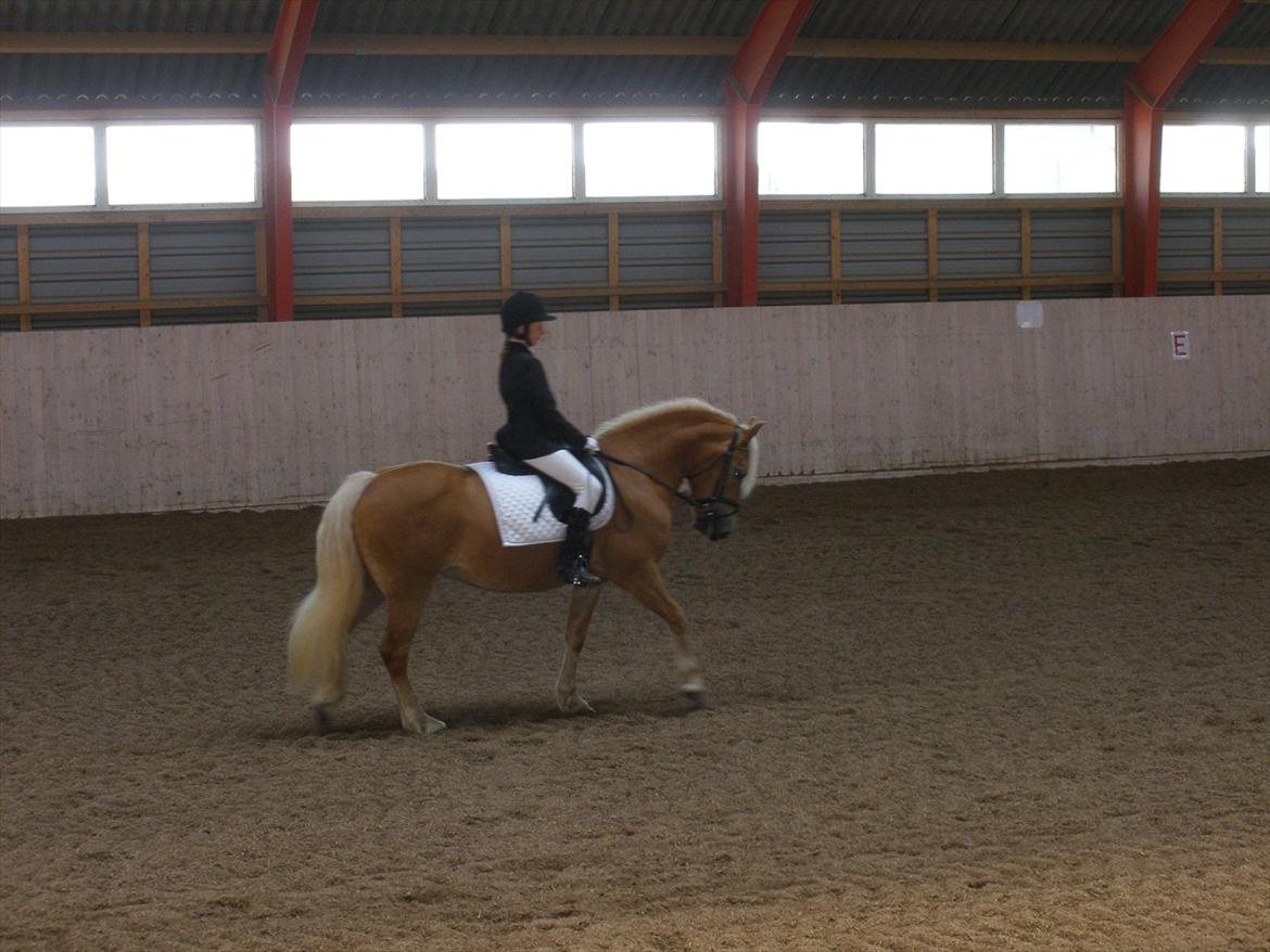 Star-team mille-anna - Louiselund, Haderslev august 2011 billede 8