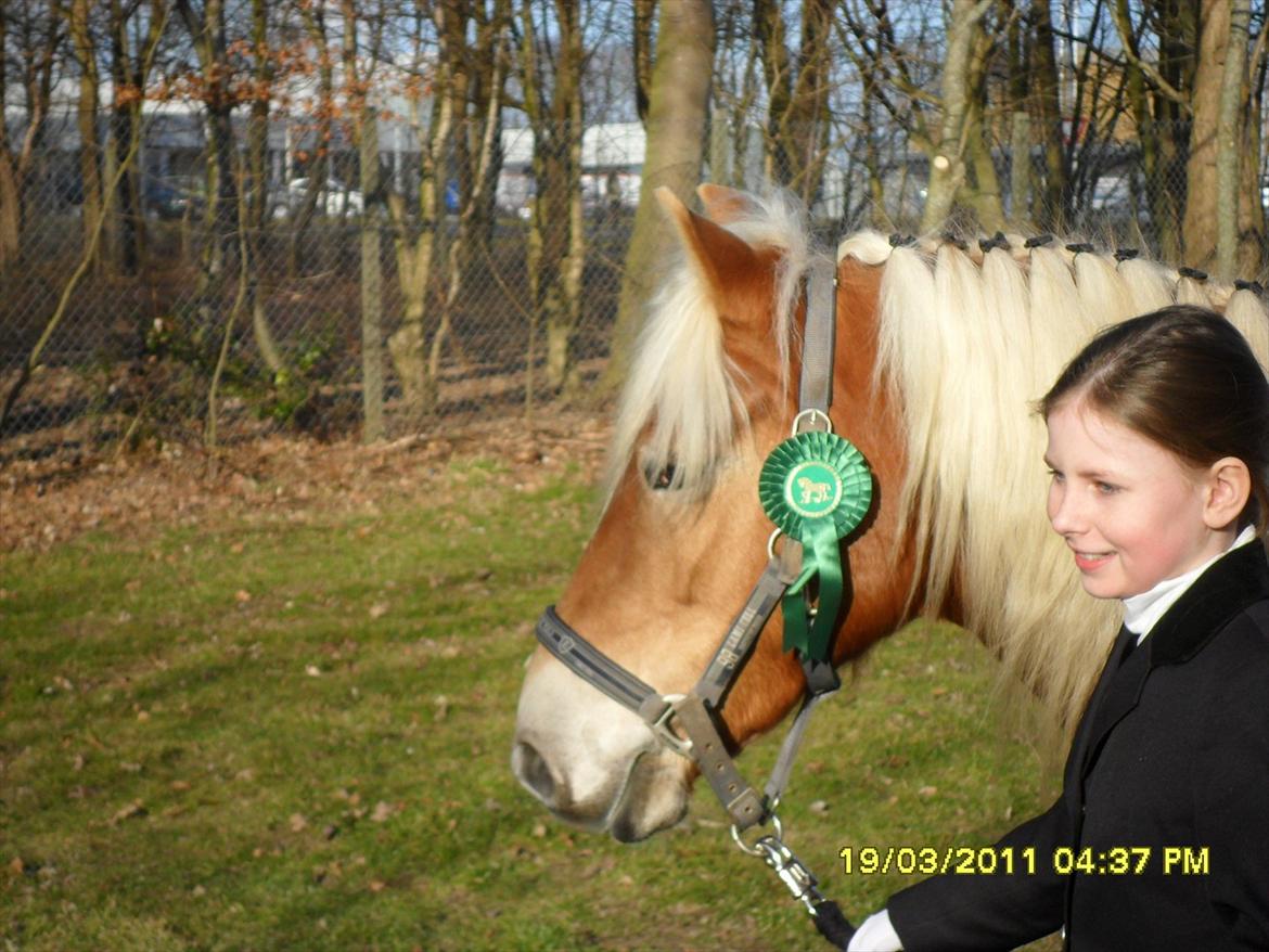 Star-team mille-anna - Ponyklubben PIH, Haderslev marts 2011. LD2 3. plads billede 2