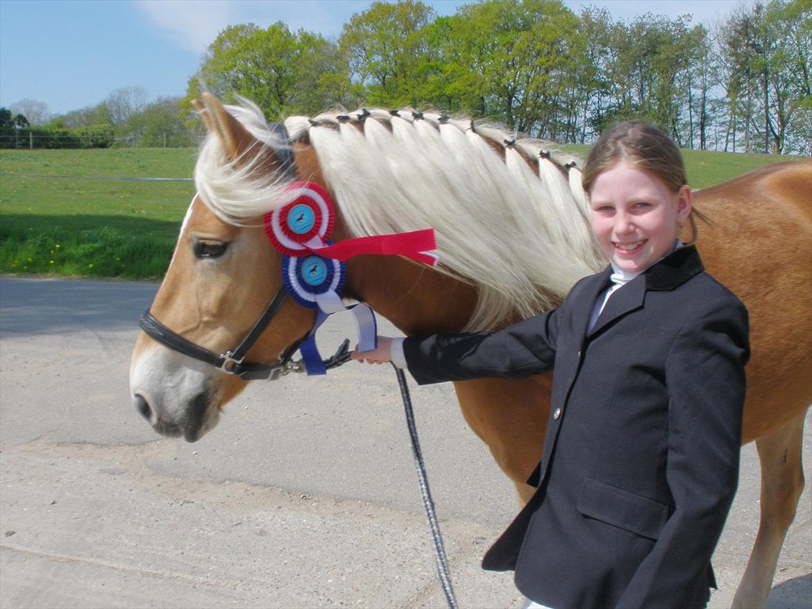 Star-team mille-anna - Stævne, Rødding/Jels maj 2011, LD 1 + LD 2, 1. + 2. plads billede 5
