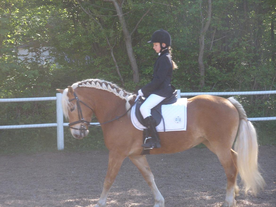 Star-team mille-anna - Ponykluibben PIH, Haderslev maj 2011 billede 4