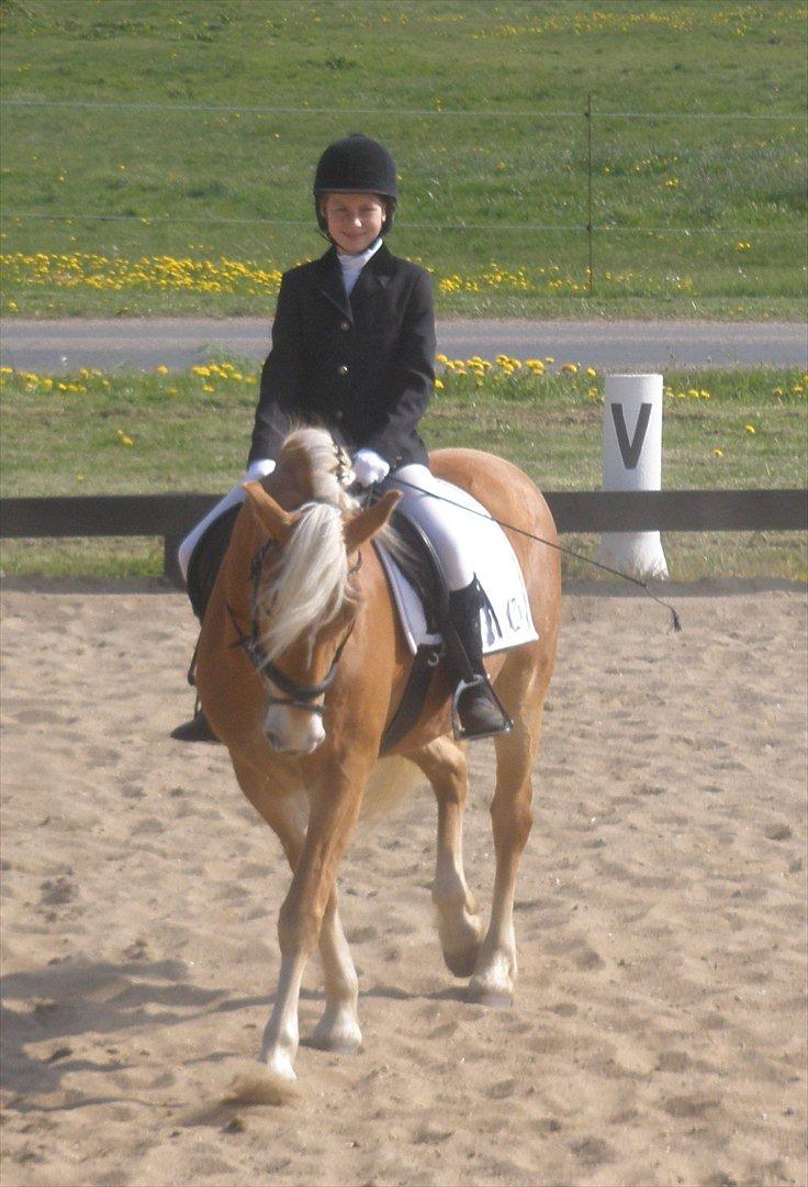 Star-team mille-anna - Stævne, Rødding/Jels maj 2011, LD 1 + LD 2, 1. + 2. plads billede 7