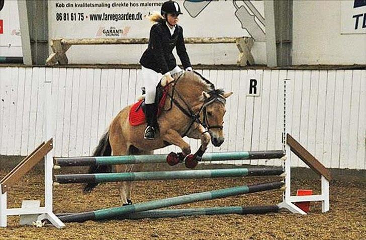 Billeder, tegninger osv. billede 41