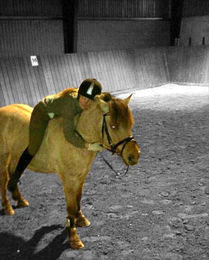 Billeder, tegninger osv. billede 43