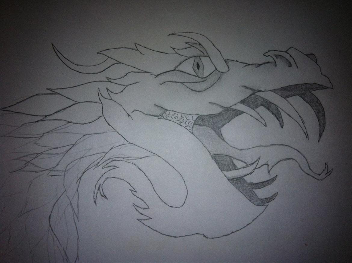 andre tegninger - Cool angry dragon :) billede 10