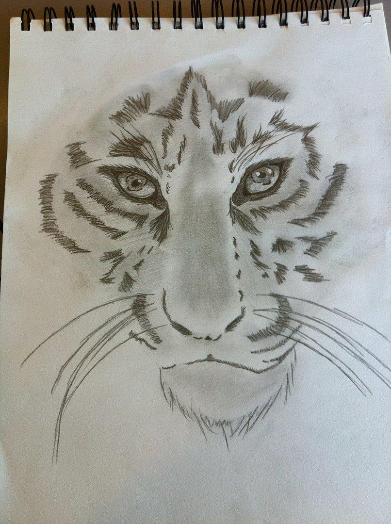 andre tegninger - en sen aften sad jeg og tegnet og blev inspiret af en lille rød kat, der gik rundt ude i gården.

vil specielt fremhæve øjne som jeg har fået en masse dybde i. billede 3