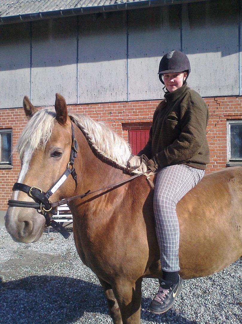 lidt forskellige billeder af hestene:) - Emma og Xander på ridetur i Dually grime billede 5