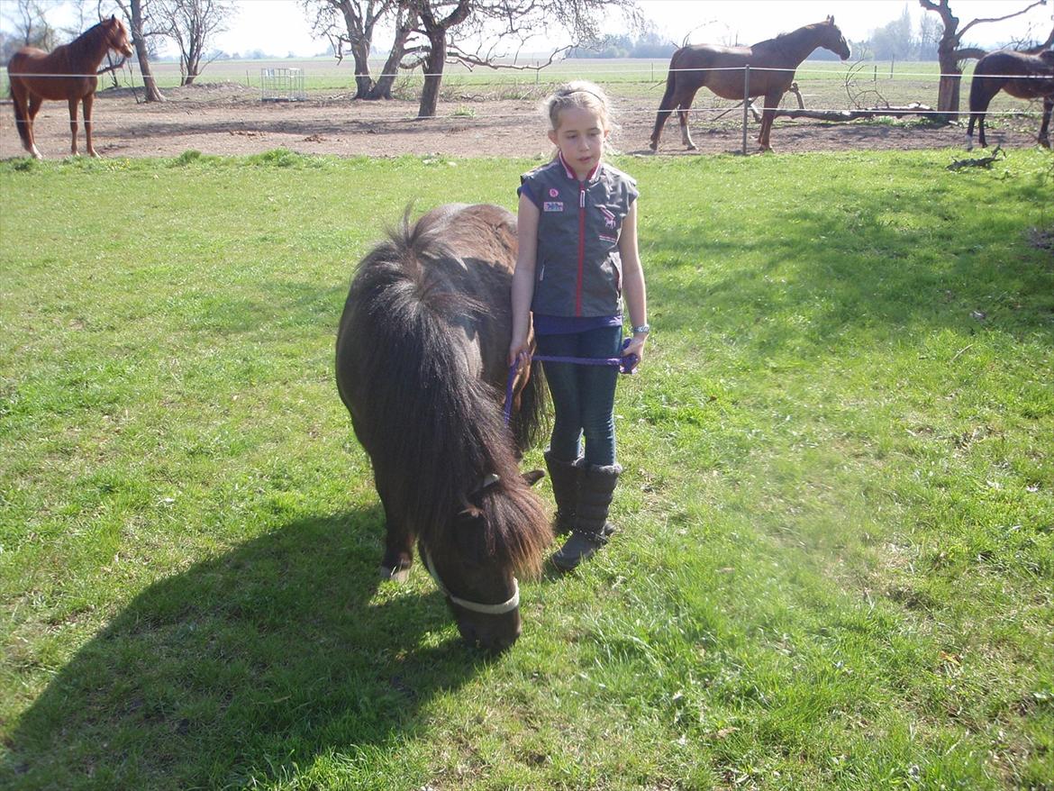 lidt forskellige billeder af hestene:) - Michelle og Lille per billede 15