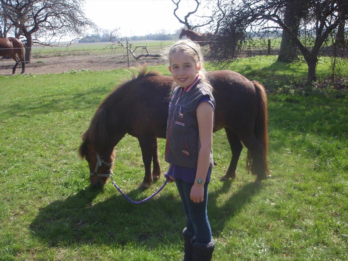 lidt forskellige billeder af hestene:) - Michelle og Madonna:) billede 16