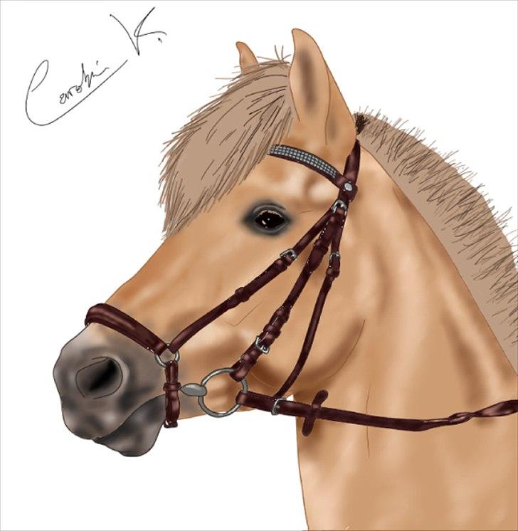 SAI tegninger.. - Fjordhest - Annasmindes Sylvester..

Tegnet: d. 21/12-2011 billede 2