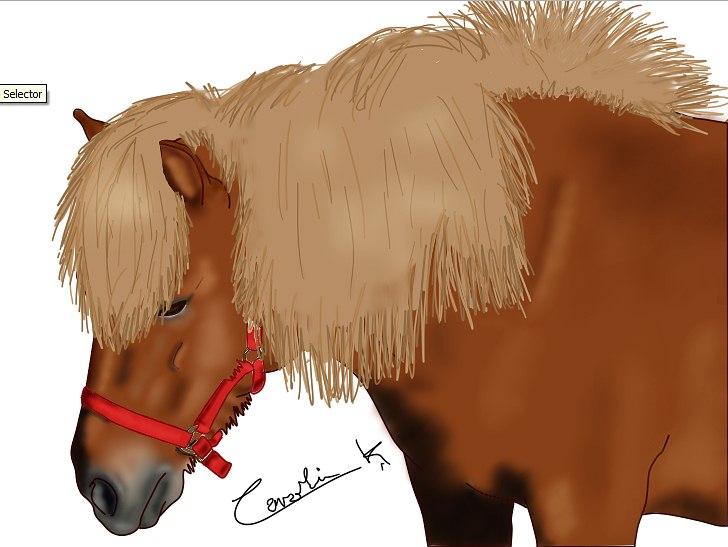 SAI tegninger.. - Shetlænder - Rozanna..

Tegnet: d. 23/12-2011 billede 3