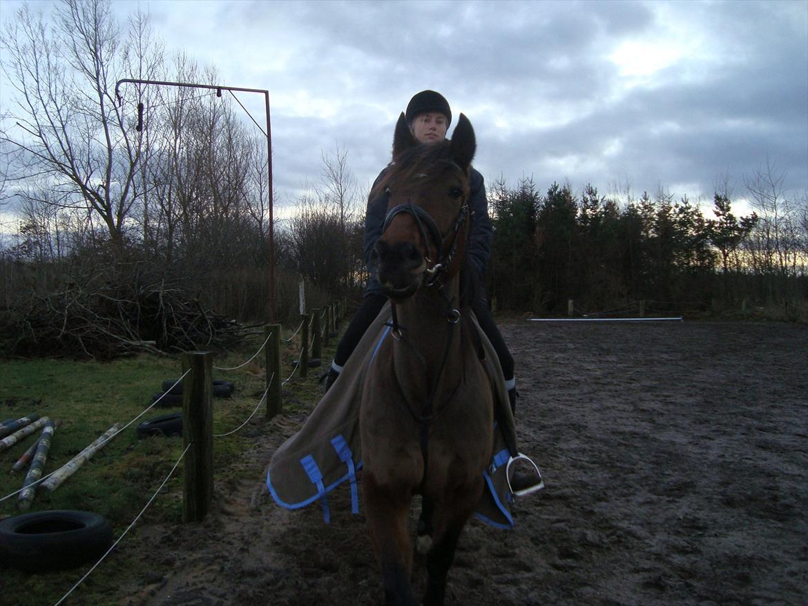 Vores billedebog. - Vi starter ud med et billede af mig og Kaliber Toft. Så man kan se hvem det egentlig er dette album omhandler xD Her på billedet er vi igang med noget opvarmning ingen lidt dressurtræning en eftermiddag i december 2011.  billede 1