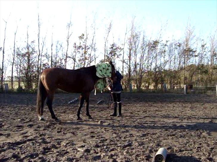 Vores billedebog. - Vi er påbegyndt noget jordtræning for at få et bedre forhold :-D Jeg kan klart mærke, at det hjælper at jordtræne, også er det et godt afbræk i træningen :-D billede 10