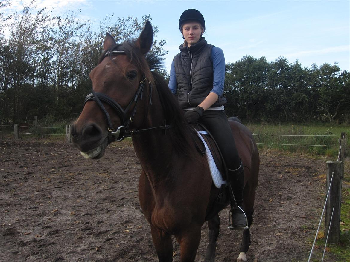 Vores billedebog. - Mig og Kaliber rider noget dressur :-D Det er kun det grundlæggende, så han får opbygget nogle muskler :-D Det er ikke det vi helst vil bruge tiden på, men vi træner forskellige ting for, at det hele ikke skal blive for ensformet :-D Så begynder vi nemlig at kede os xD billede 13