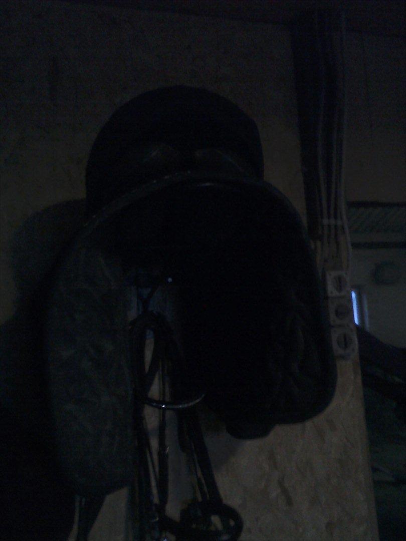 Vores billedebog. - Vores sadel! :-D En Hubertus :-D Den er gaaammel :-D Før jeg fik den, havde min mor den, som købte den af en, som købte den brugt xD Så... Ja.. den er gammel, men god! :-D billede 16