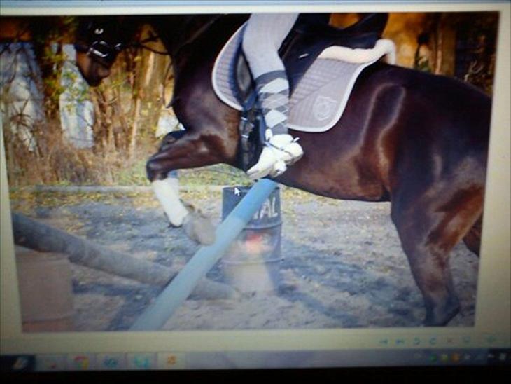 {{currentPhoto.altText}} billede {{currentPhoto.number}}