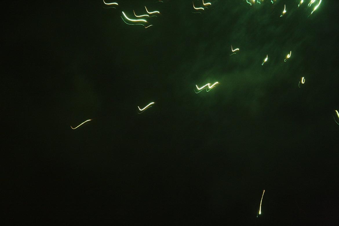 NYTÅRS BILLEDER :D billede 16