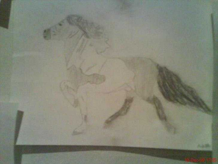 Nogle af mine tegninger :) - En tøltende islænder :D  Tegnet efter billed, jeg fandt på Google :) billede 2