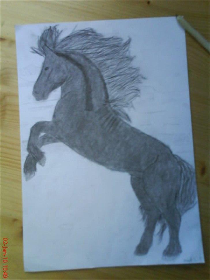 Nogle af mine tegninger :) - En ikke helt færdigtegning af en frieser ved noget vand :-) billede 3