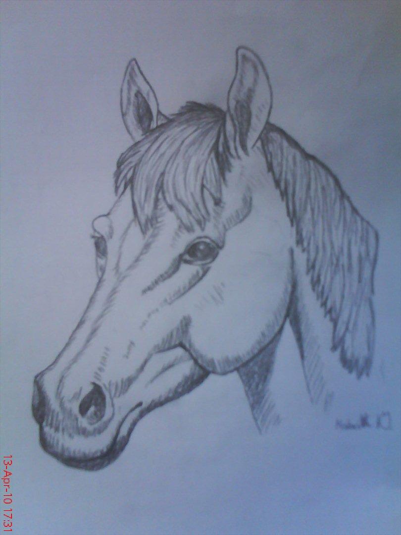 Nogle af mine tegninger :) billede 6