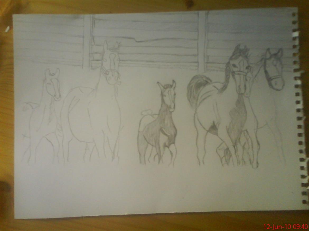 Nogle af mine tegninger :) - En tegning jeg har været i gang med i over et år, er bare ik lige kommet videre :(  billede 7