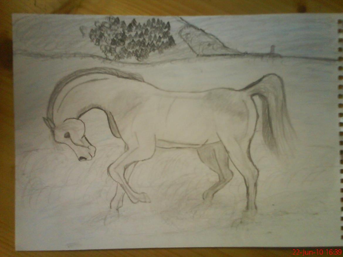 Nogle af mine tegninger :) - Vidst tegnet efter en hest med vinger jeg så et sted ;) billede 8