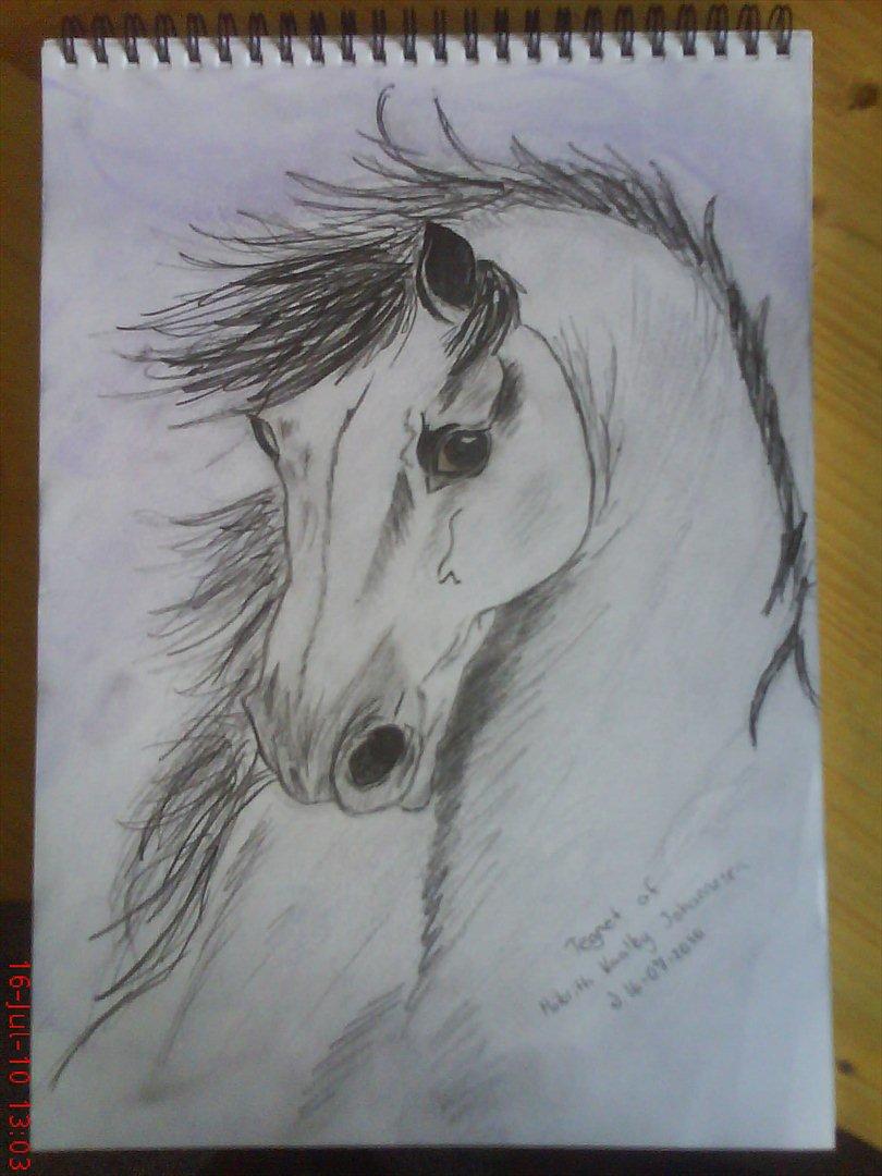 Nogle af mine tegninger :) - En af mine yndlings :) Så vidt jeg kan huske, en frihånds ;) billede 1